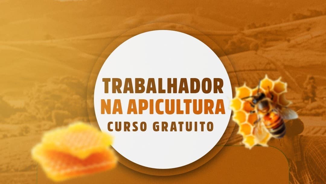 Trabalhador na Apicultura